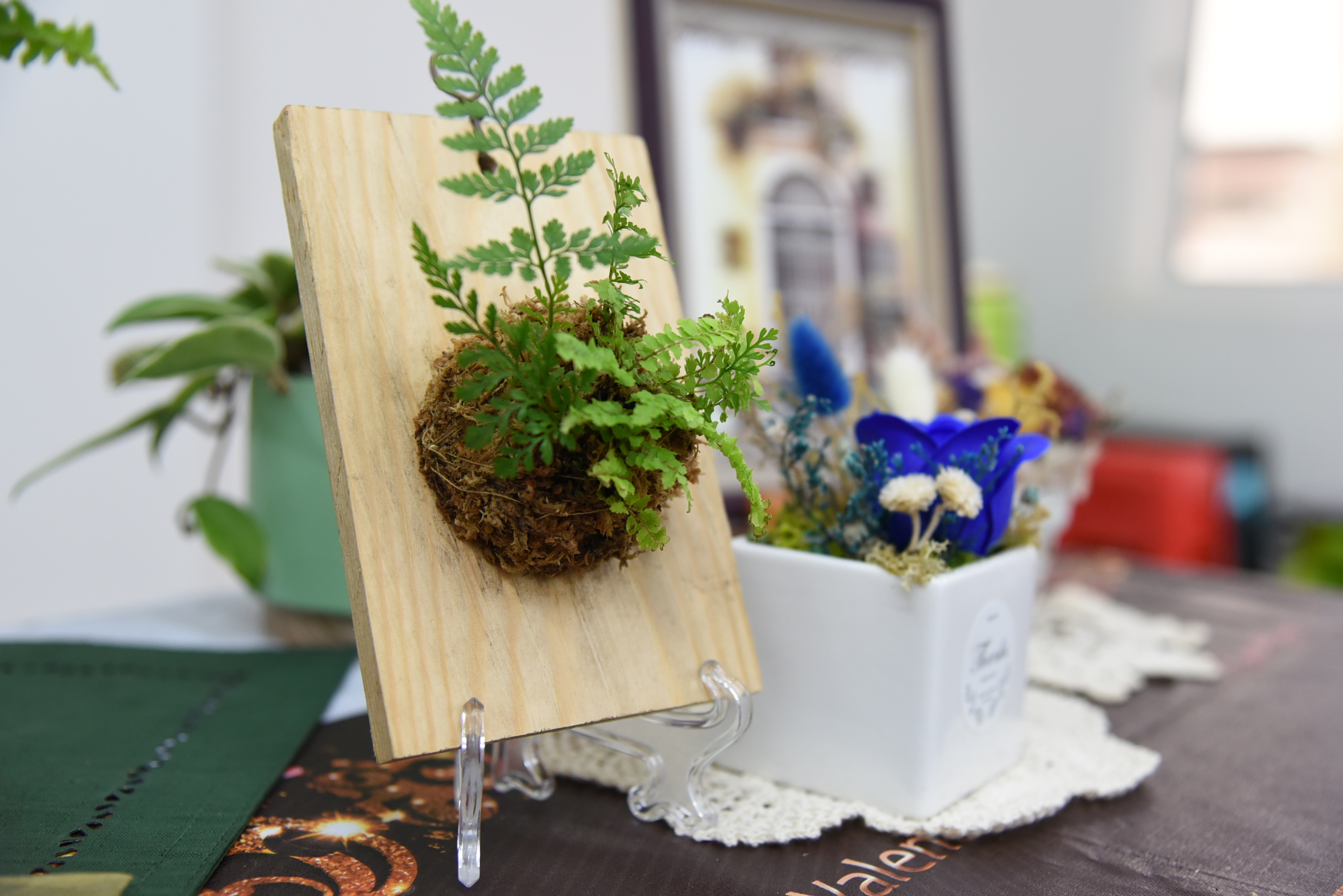 就愛拈花惹草 職訓助她變身園藝專家