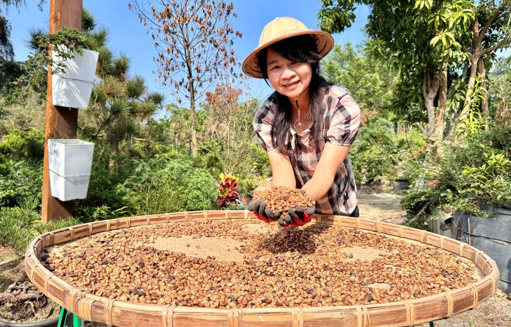 圖1.王素珍憑藉著對咖啡的熱愛與勞動部產投在職課程加持，成功在阿里山創設自己的咖啡事業。