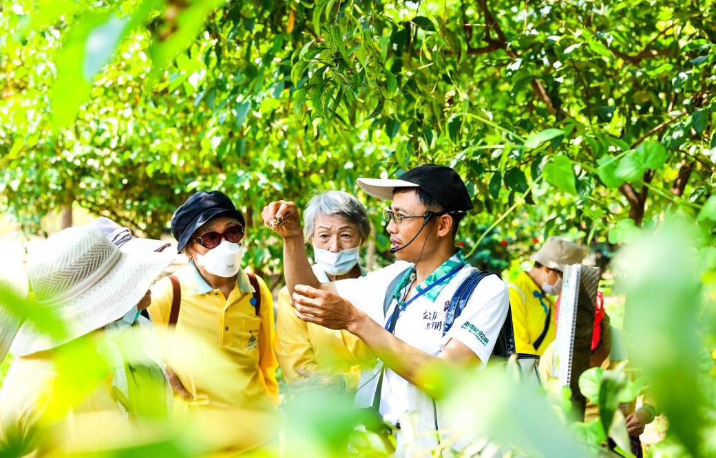 有都市綠肺之稱的巴克禮紀念公園，為府城之旅增添自然美景。