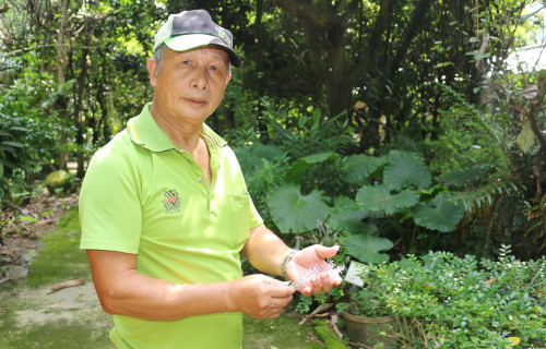 通稿-放下「電銲」專長，邱柱轉職當起園丁，5年來只請1天假，生活過得很充實。