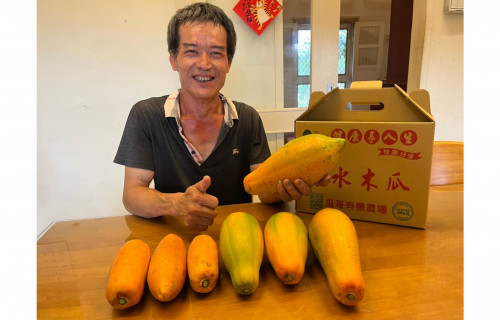 江國堂不捨農地荒蕪，年過半百決定轉職當瓜農，反而種出興趣。